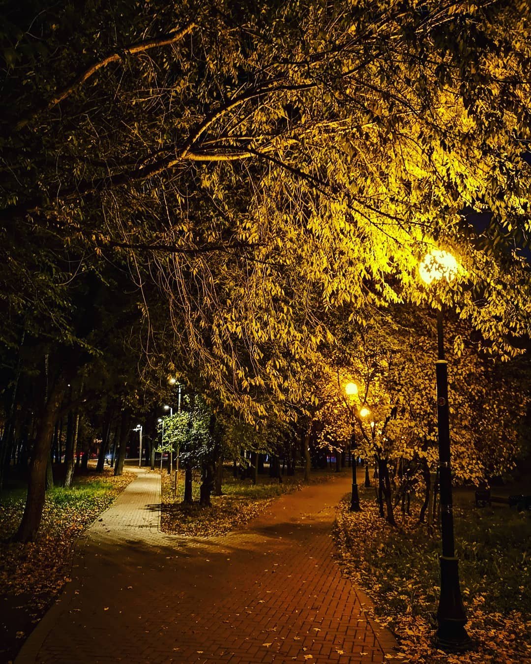 Вечером через парк. Муром Вечерний парк. Ночной парк. Осенний сквер. Парк ночью.