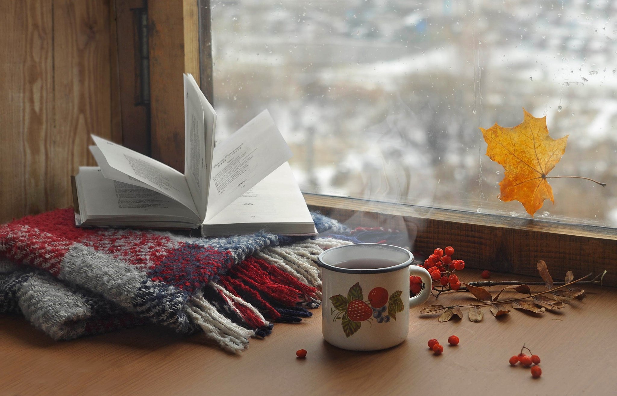 Книга холодное утро. Плед на подоконнике. Уютная осень. Осень уют. Осень чай плед.