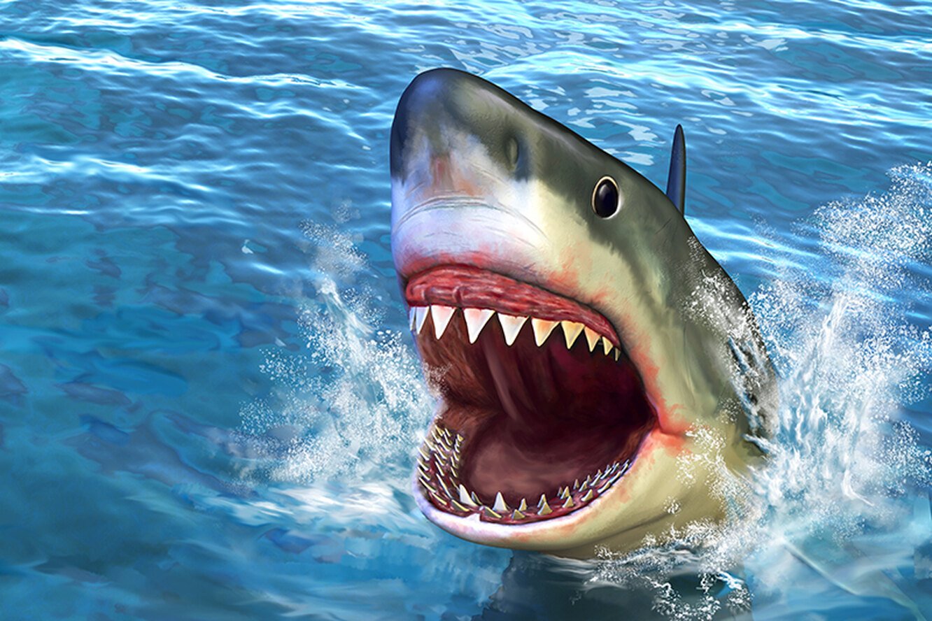 Оскал акулы. Белая акула с открытым ртом. Правда что акулы боятся пузырьков