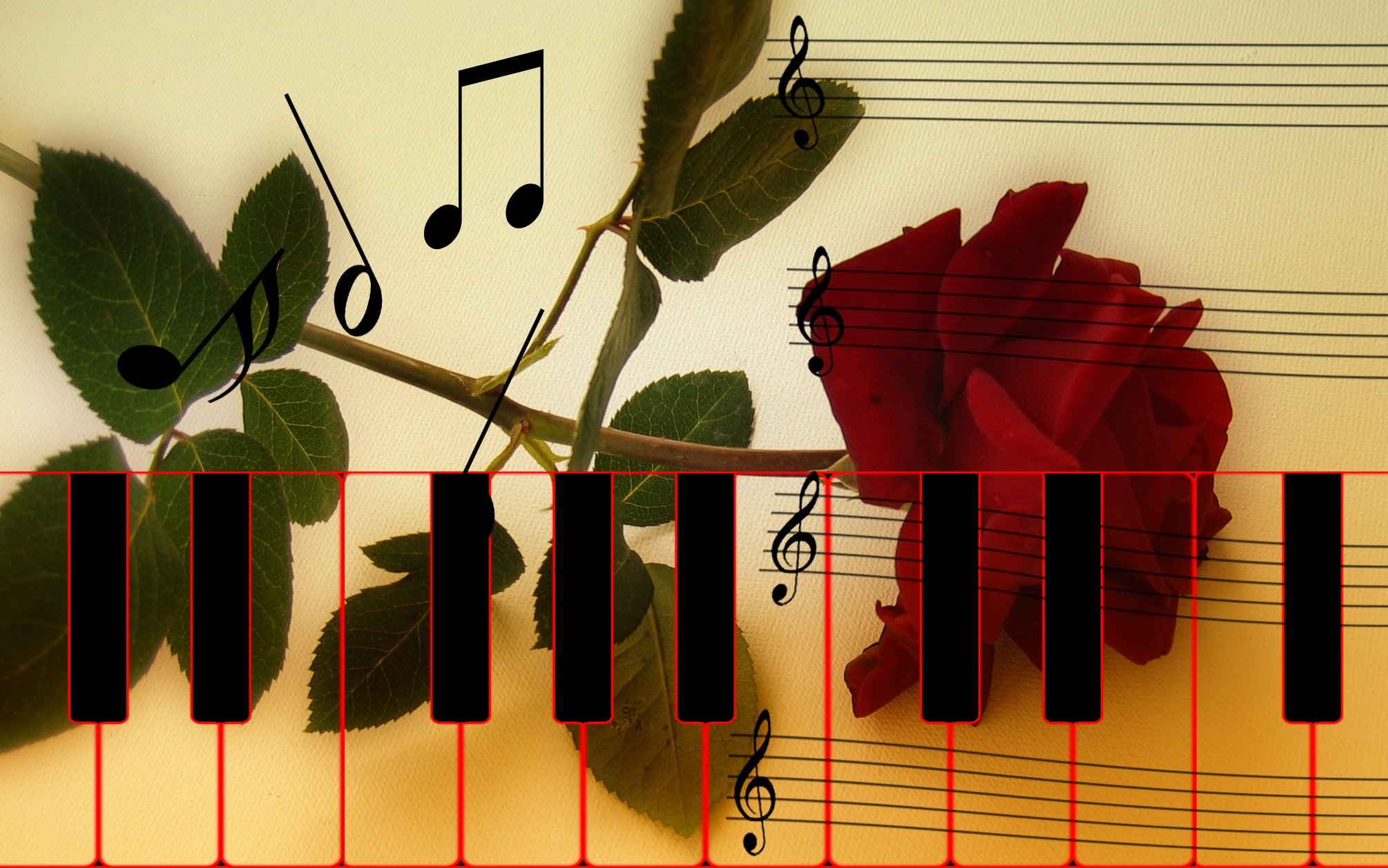 Воровке музыка. Красивые цветы с нотками. Ноты на пианино. Цветные клавиши пианино. Картинки пианино и цветы.