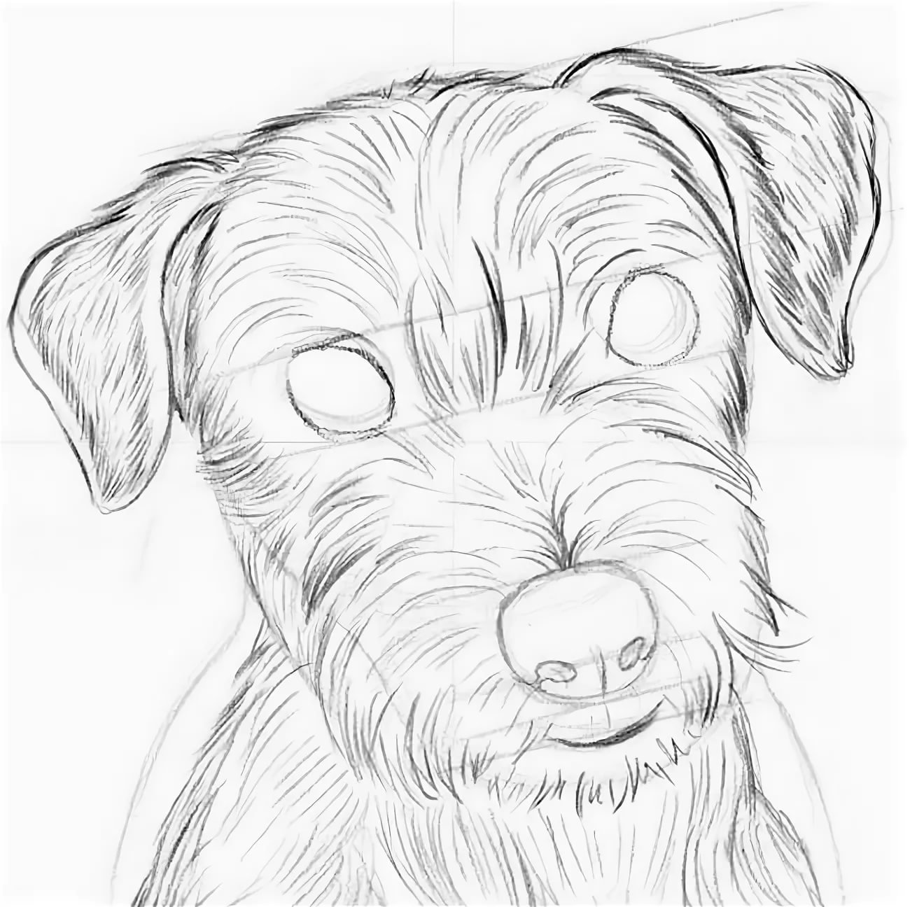 Нарисовать собаку карандашом легко и красиво. Рисунки карандашом. Собака рисунок. Щенок рисунок. Рисунок собаки легкий.