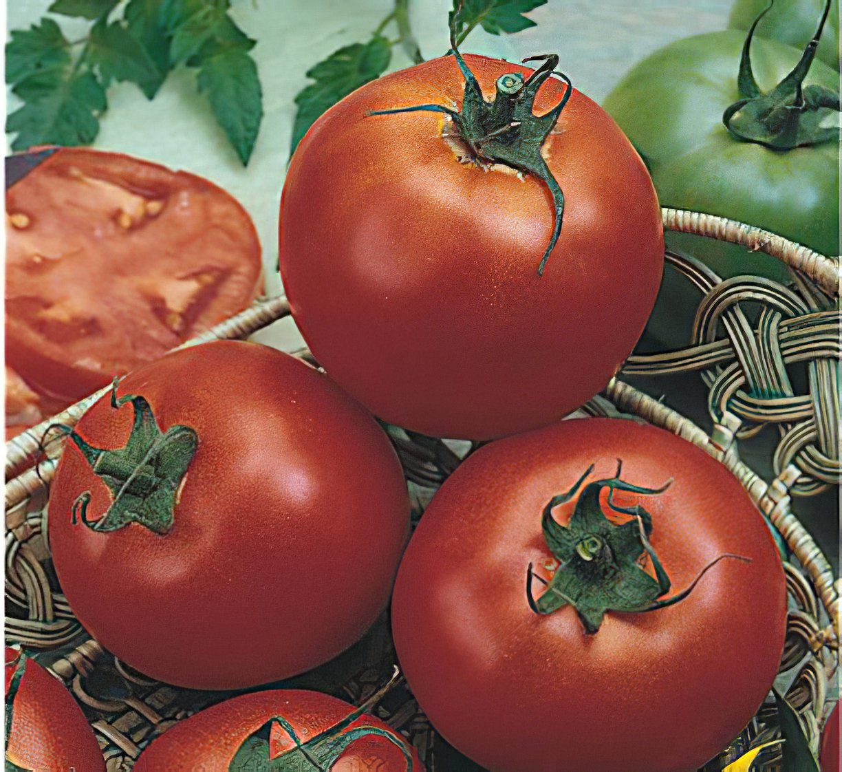 Семена томатов название. Карнабель томат. Томат сорт Калабрезе. Томат Калабрезе семена.