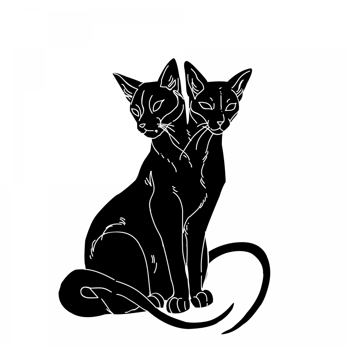 Таинственные контуры мощных черных кошек, обрамленных миражными отблесками света и теней