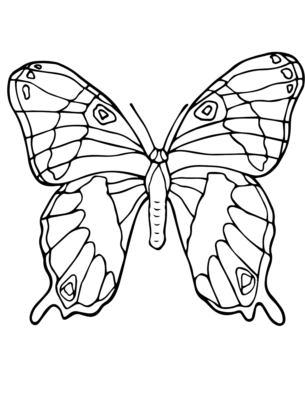Насекомые раскраска для детей 6 7 лет. Раскраска "бабочки". Бабочка раскраска для детей. Бабочка раскраска для малышей. Рисунок бабочки для раскрашивания.