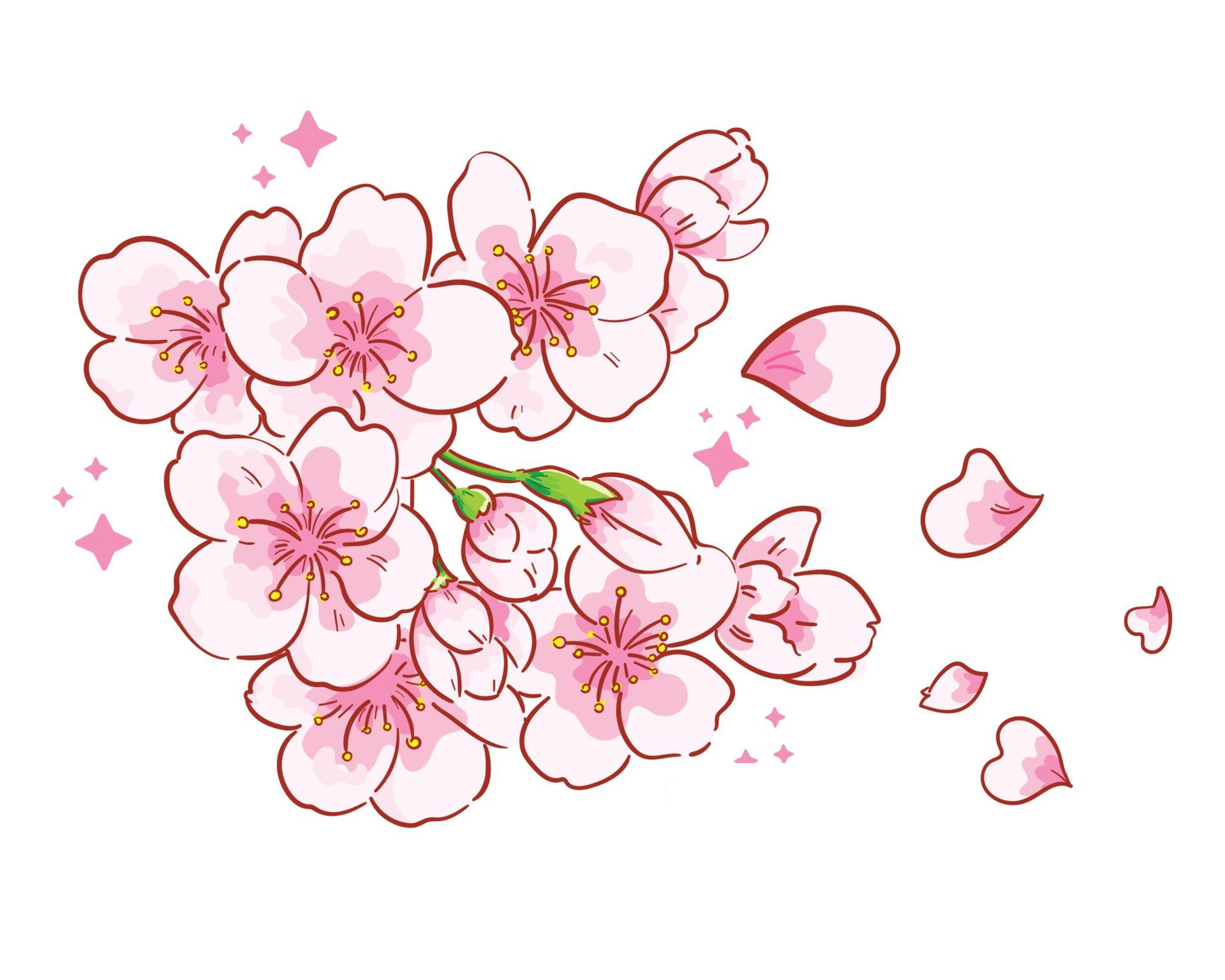 Цветы сакуры рисунок - 57 фото
