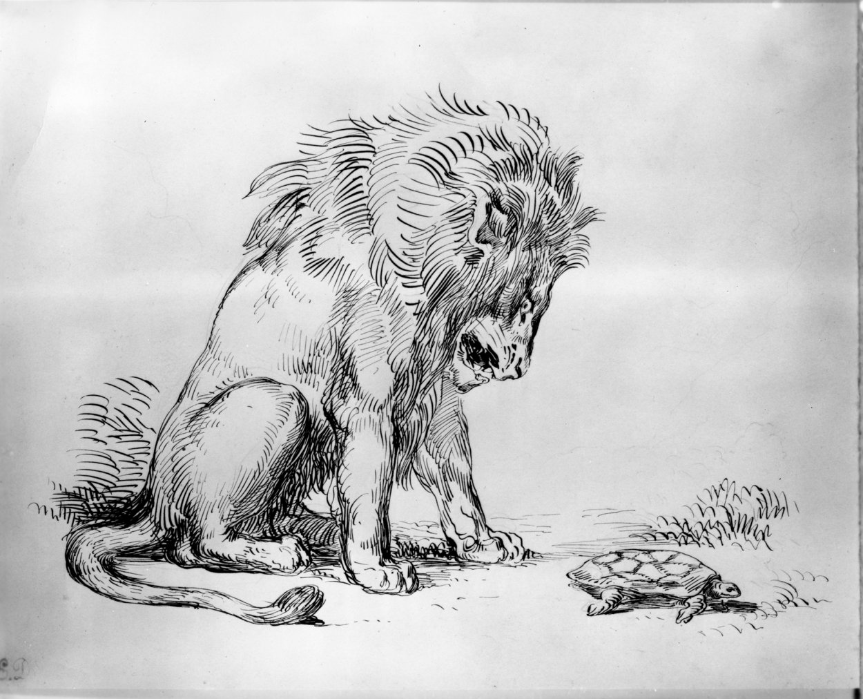 Лев и собачка рисунок