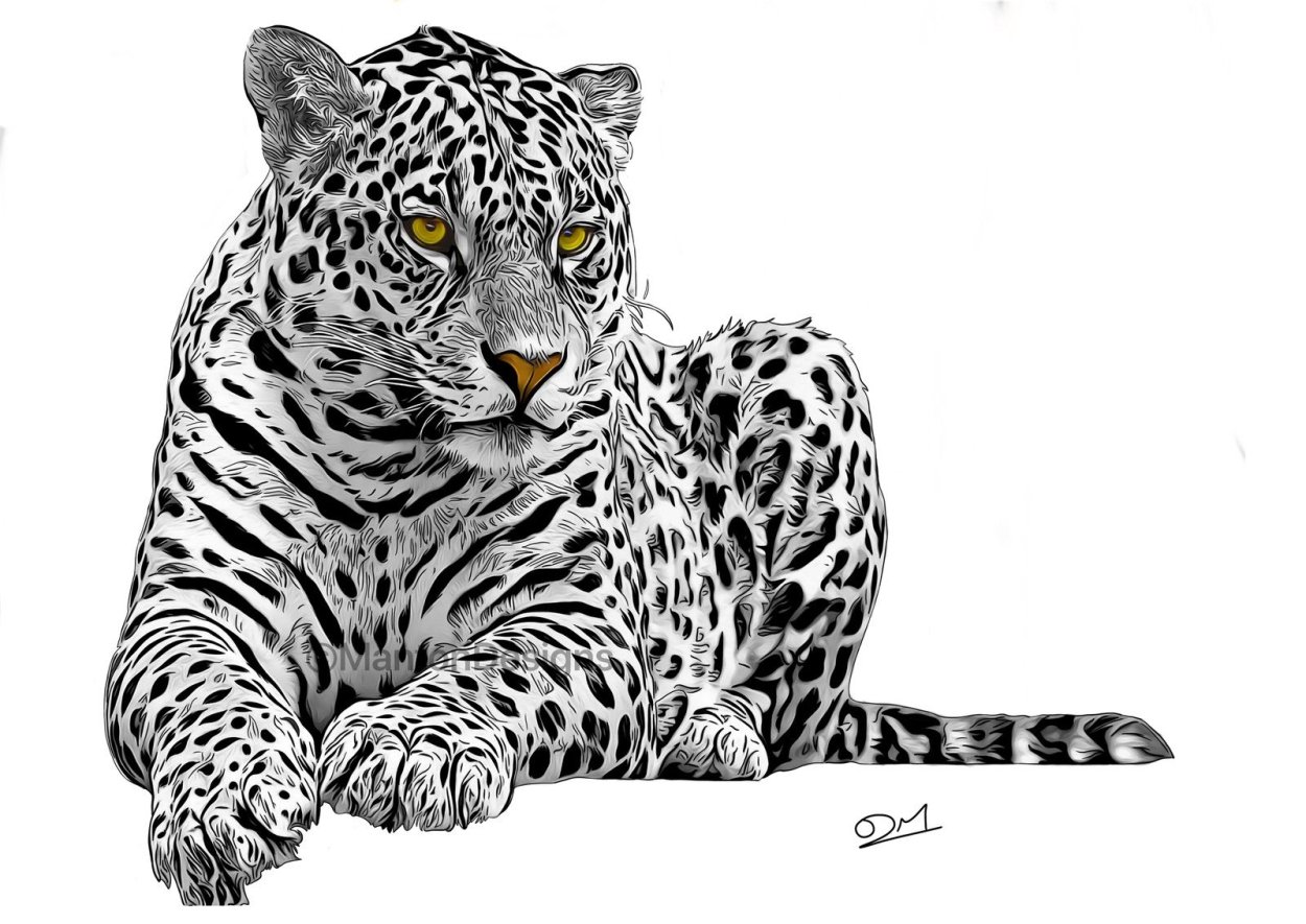 Dibujar un leopardo