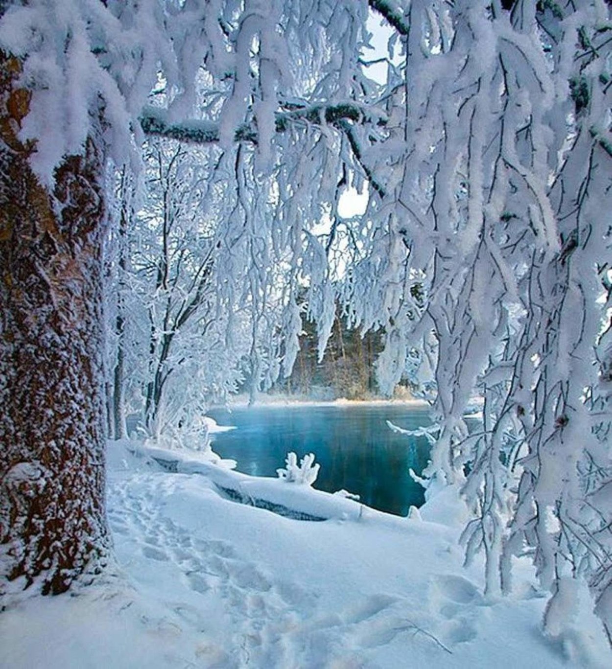 Зиму зима очень сильно. Зимняя природа. Красивая зима. Красота зимы. Зимний лес.