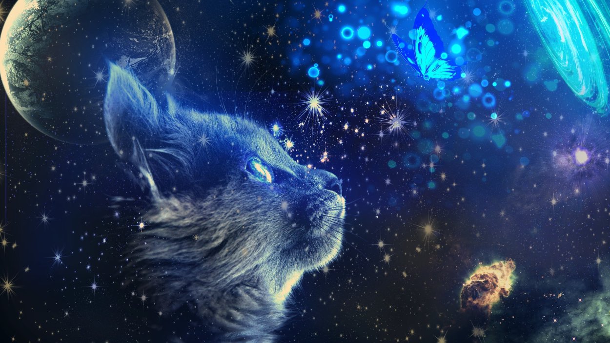 Кот в космосе рисунок