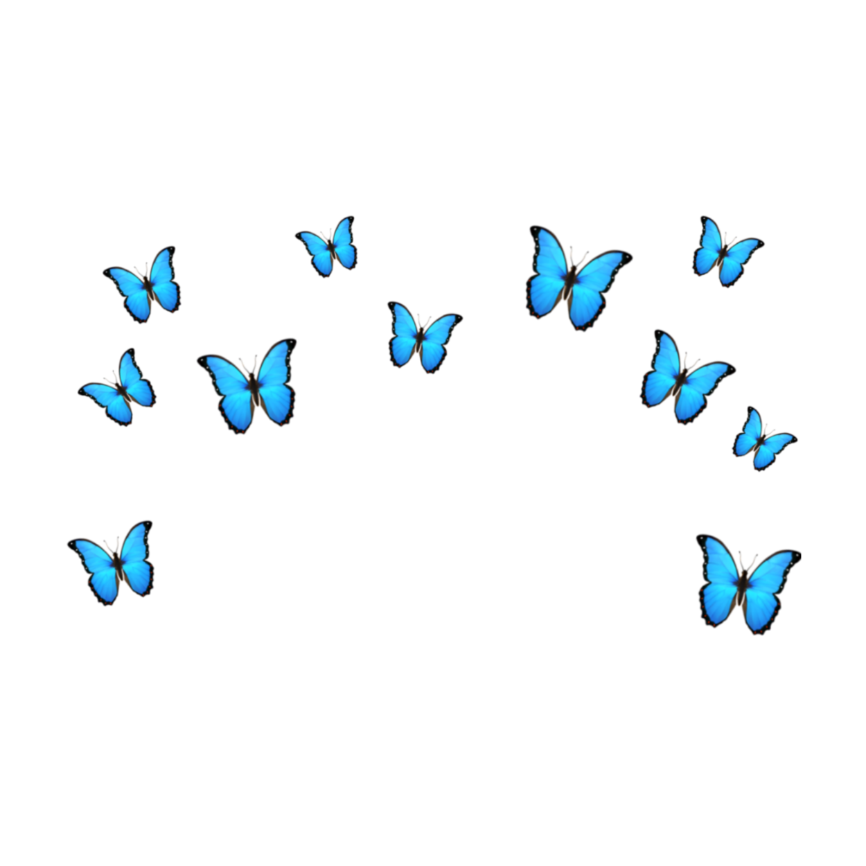 Бабочки без фона для фотошопа. Голубая бабочка на прозрачном фоне. Бабочки на прозрачном фоне для фотошопа. Бабочки на белом фоне. Бабочка над головой