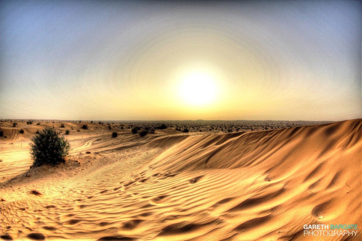 Пейзаж пустыни