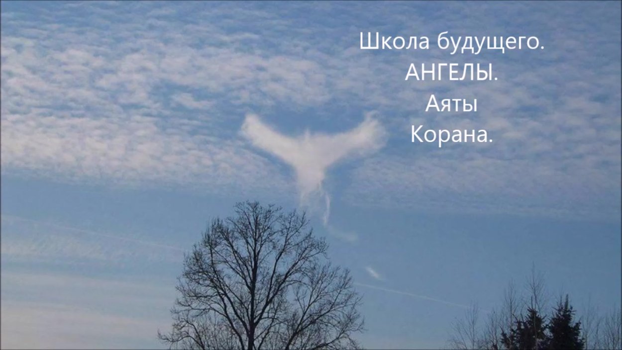 Видишь небо в облаках. Небесные ангелы. Облако в виде ангела. Облако в форме птицы. Ангел в небе.