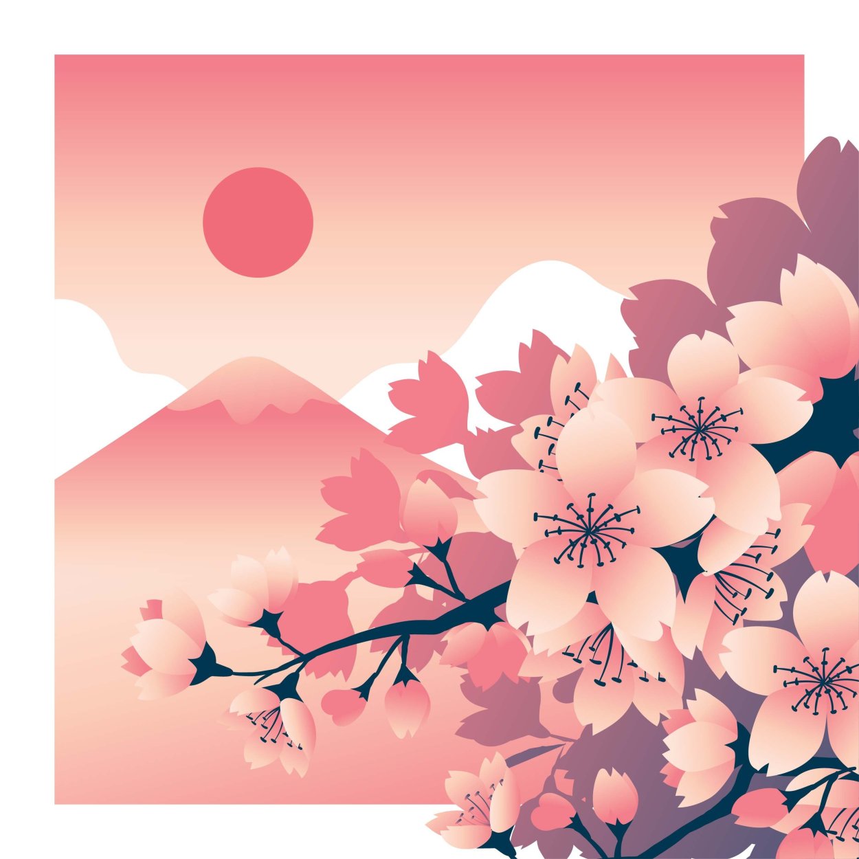 Цветы сакуры рисунок
