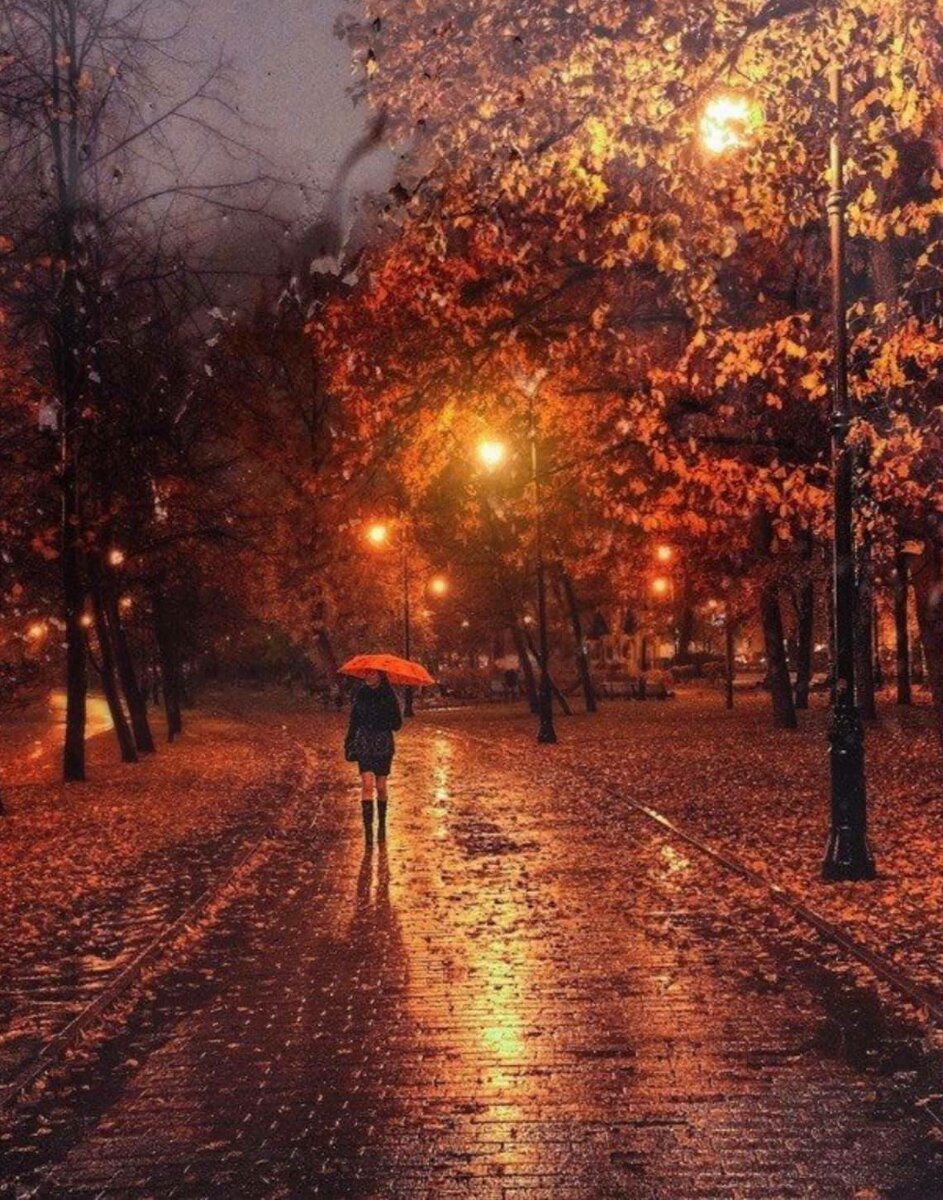 Осенней ночью светлой и тихой я возвращался. Осенний вечер. Осень вечер. Осенняя ночь. Осенний парк ночью.