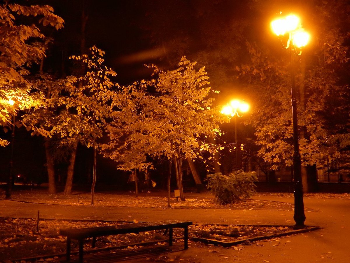 Темным осенним вечером. Парк ночью. Осенний вечер в городе. Городской парк вечером. Осень городская ночью.