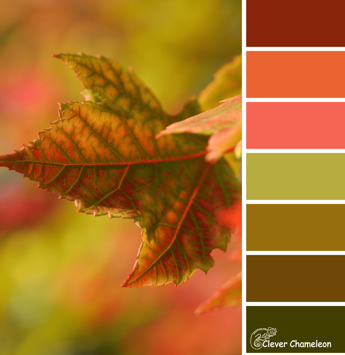 Палитра лист. Цветовая палитра с горчичным цветом. Осенние цвета. Осенняя гамма цветов. Осенние цвета палитра.