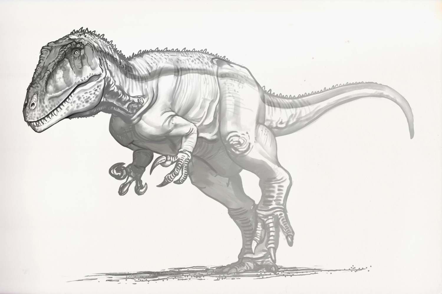 Картинки динозавров нарисовать. Цератозавр референс. Динозавр рисунок. Динозавр рисунок карандашом. Динозавры карандашом для срисовки.