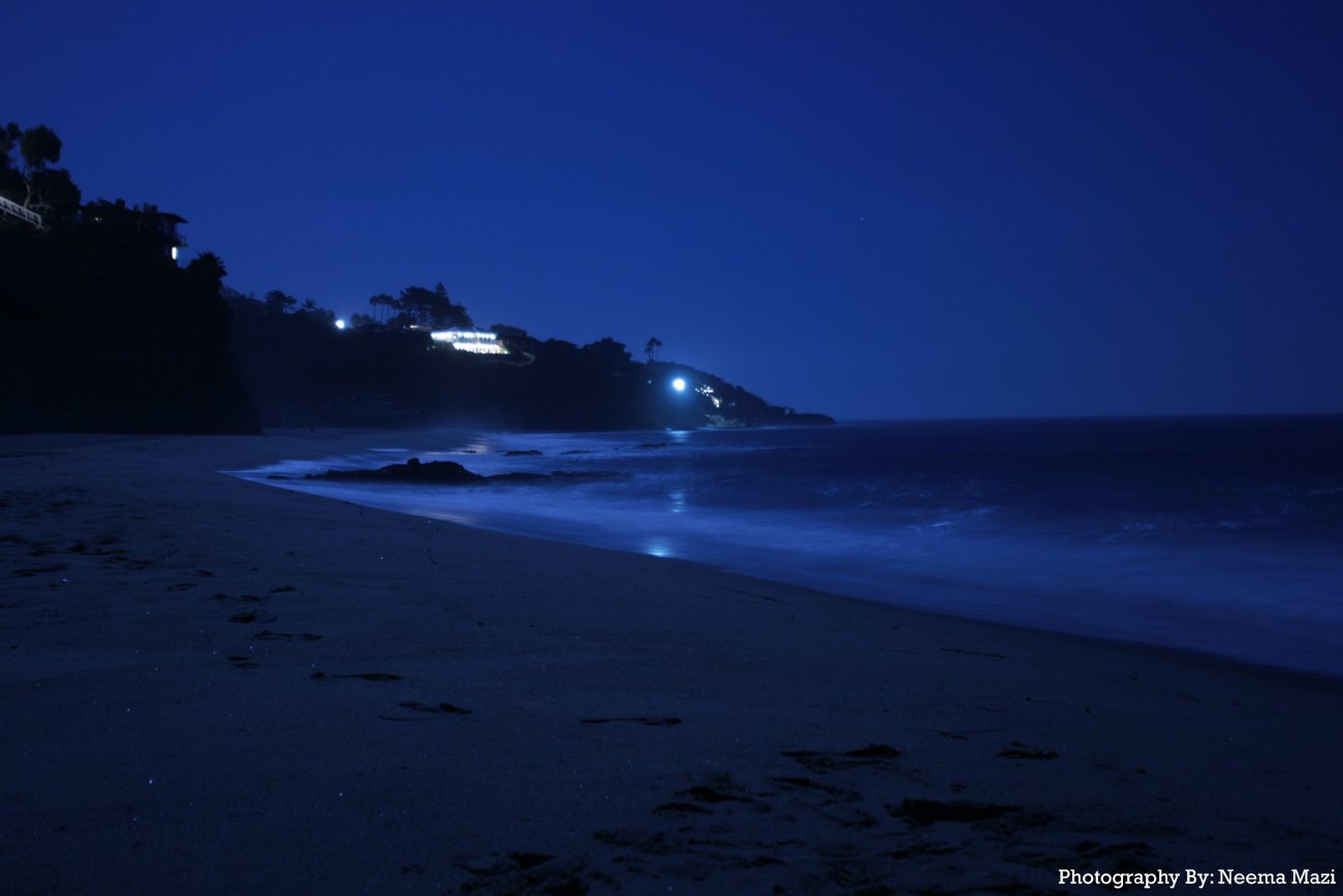 Ночь у берега 80 перевод. Ночное море. Ночной пляж. Ночь в море. Берег моря ночью.