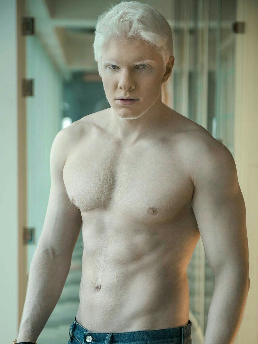 Грузин альбинос фото