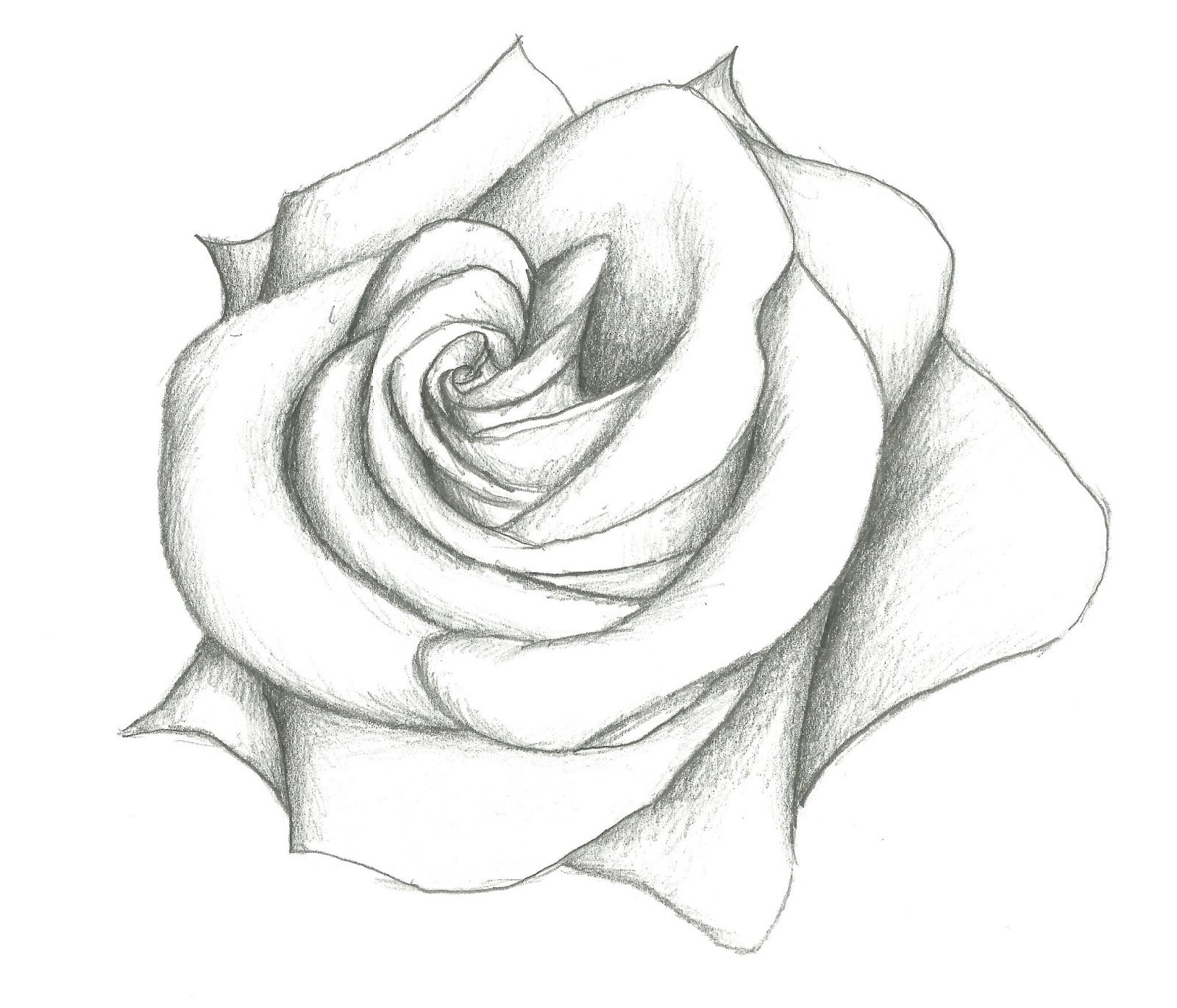 Нарисовать картинку. Роза карандашом. Картинки розы для срисовки. Рисунок розы для срисовки. Картинки карандашом лёгкие и красивые.
