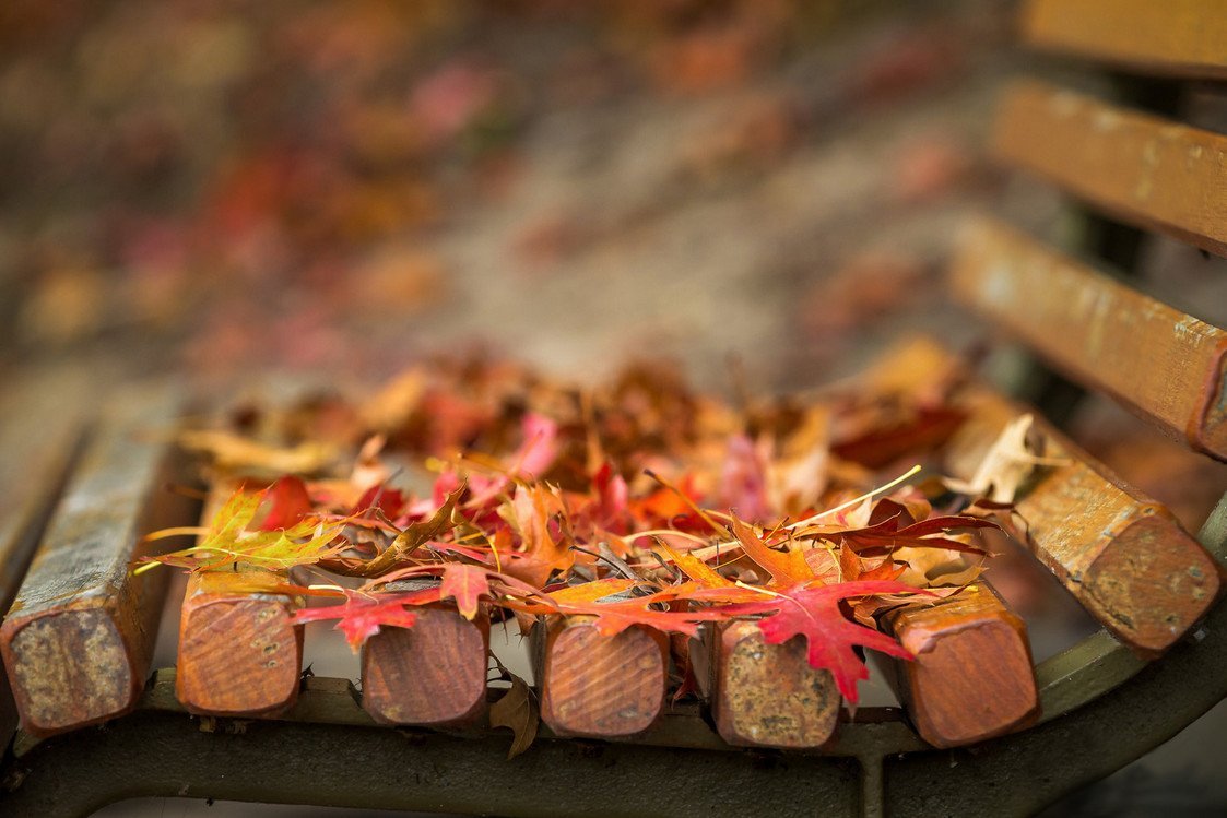 Осень дарит вдохновение. Краски осени. Осеннее Вдохновение. Вдохновение осенью. Осенняя тематика.