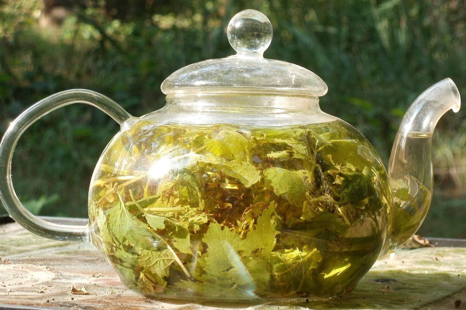 Зеленый чай в банке. Травяной отвар. Чай в чайнике. Чай с травами. Зеленый чай в чайнике.