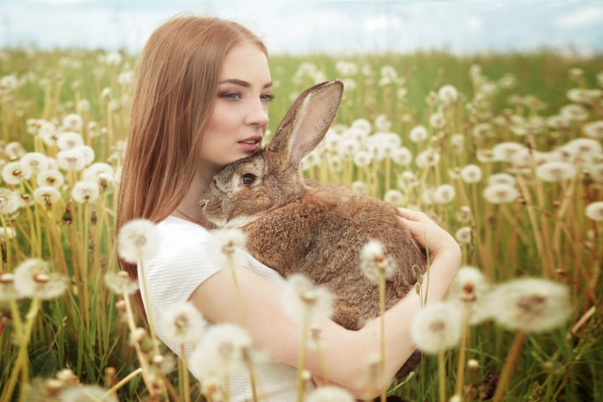 Подруги зайчики. Девушка кролик. Фотосессия с кроликом. Фотосессия с кроликом девушка. Красивая девушка с кроликом.
