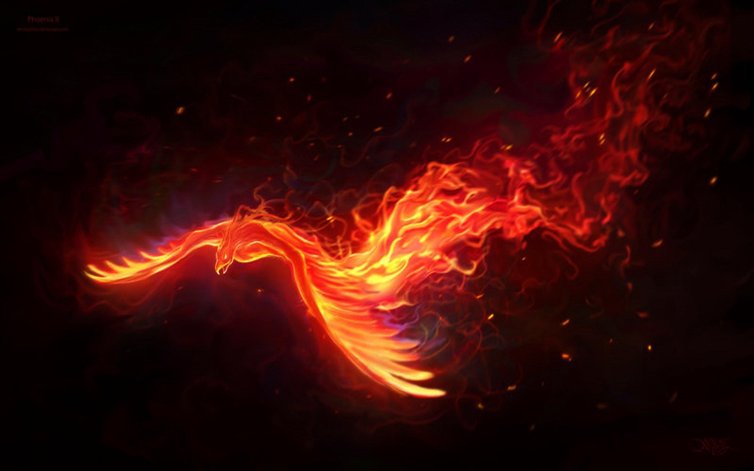 Дракон темного пламени. Огненный Феникс Дилюк. Птица Феникс. Огненный дракон. Веоникс.