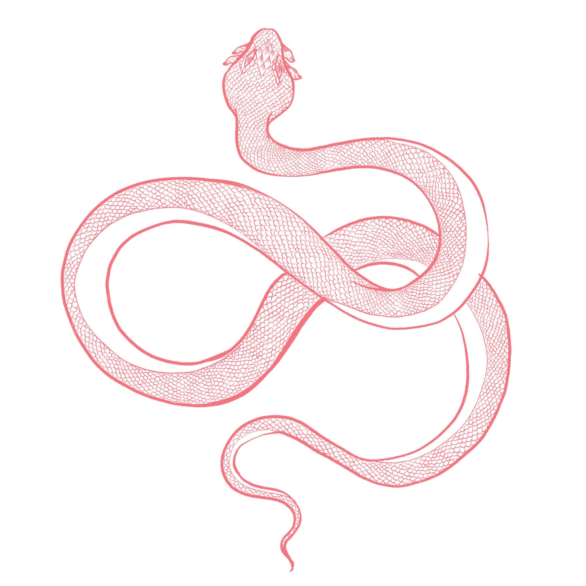 Легкая змейка. Розовые змеи. Змеи переплелись. Эскизы змей. Змея рисунок.