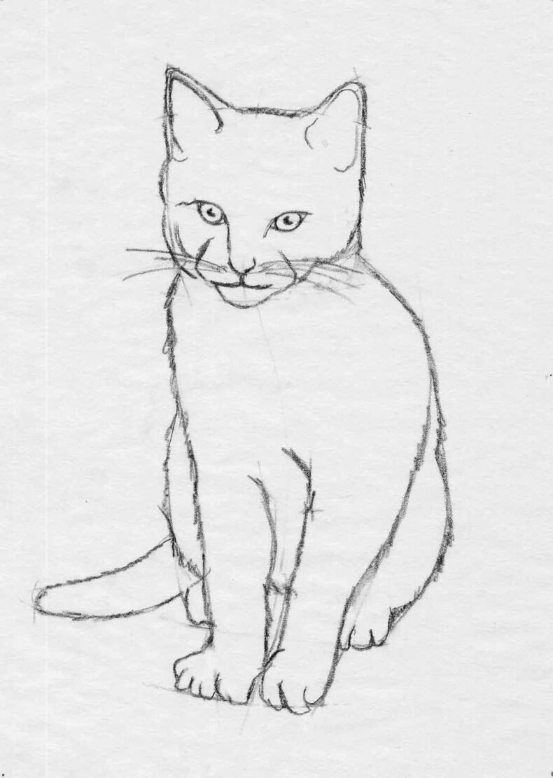 Рисунок кота карандашом для срисовки