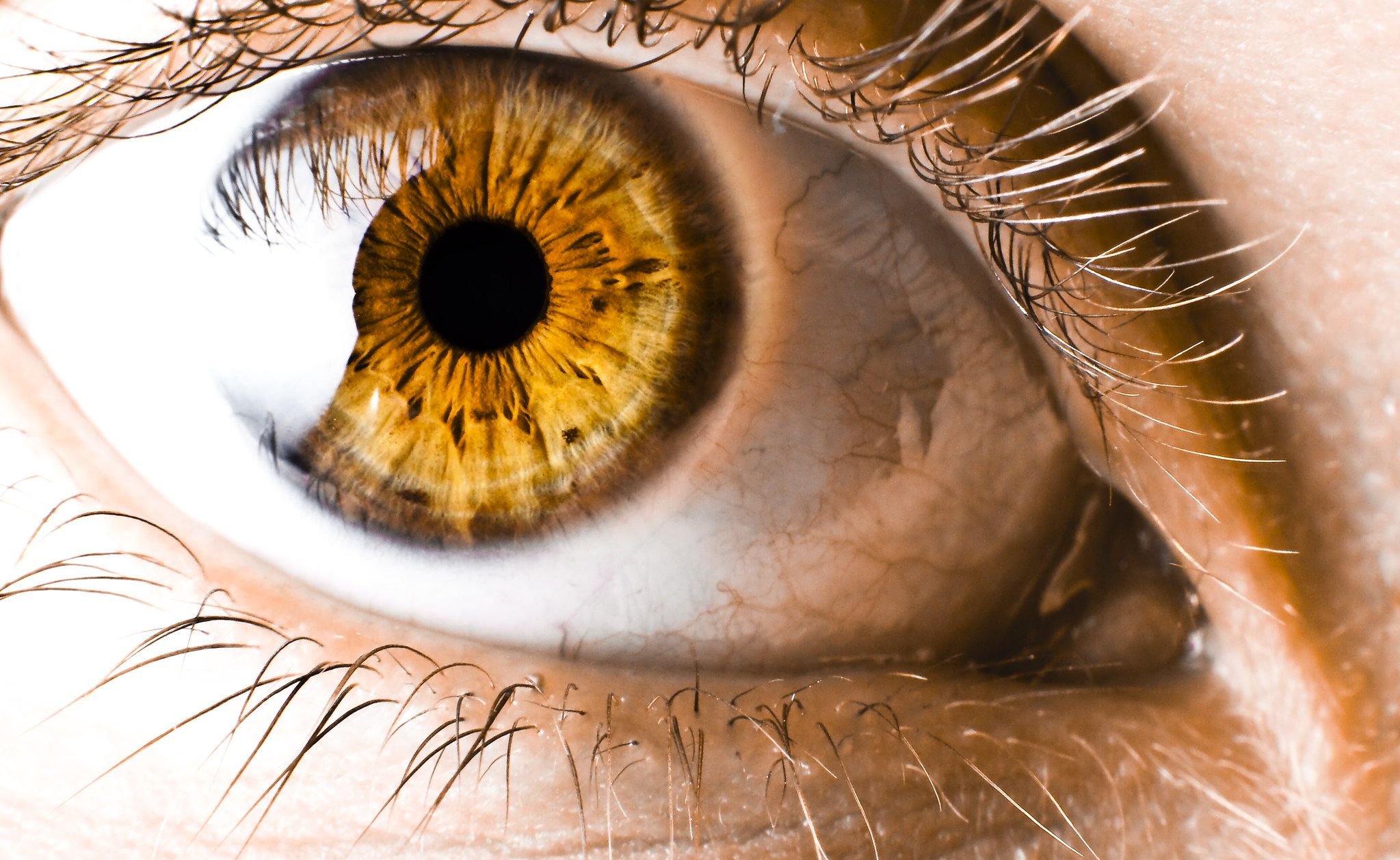 Фф у нежности глаза цвета. Янтарный цвет глаз золотые глаза. Янтарный цвет глаз у человека. Жёлто Янтарный цвет глаз. Янтарно Карий цвет глаз.