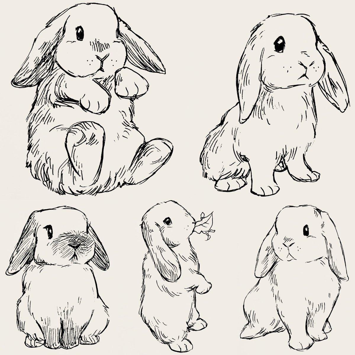 Очень легкий рисунок кролика