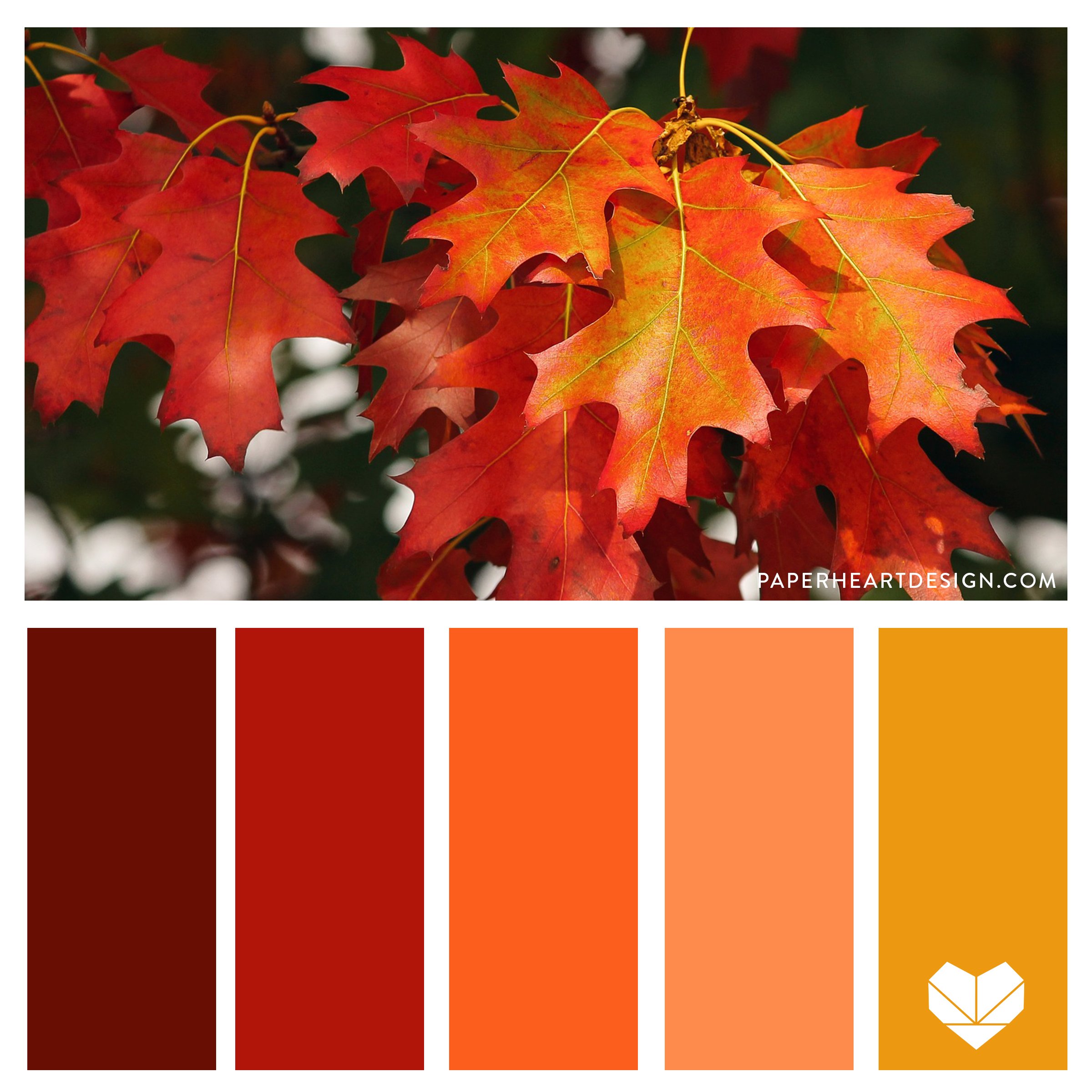Цвета осень макан. Палитра осени. Палитра осенних красок. Осенние цвета палитра. Осенняя гамма цветов.