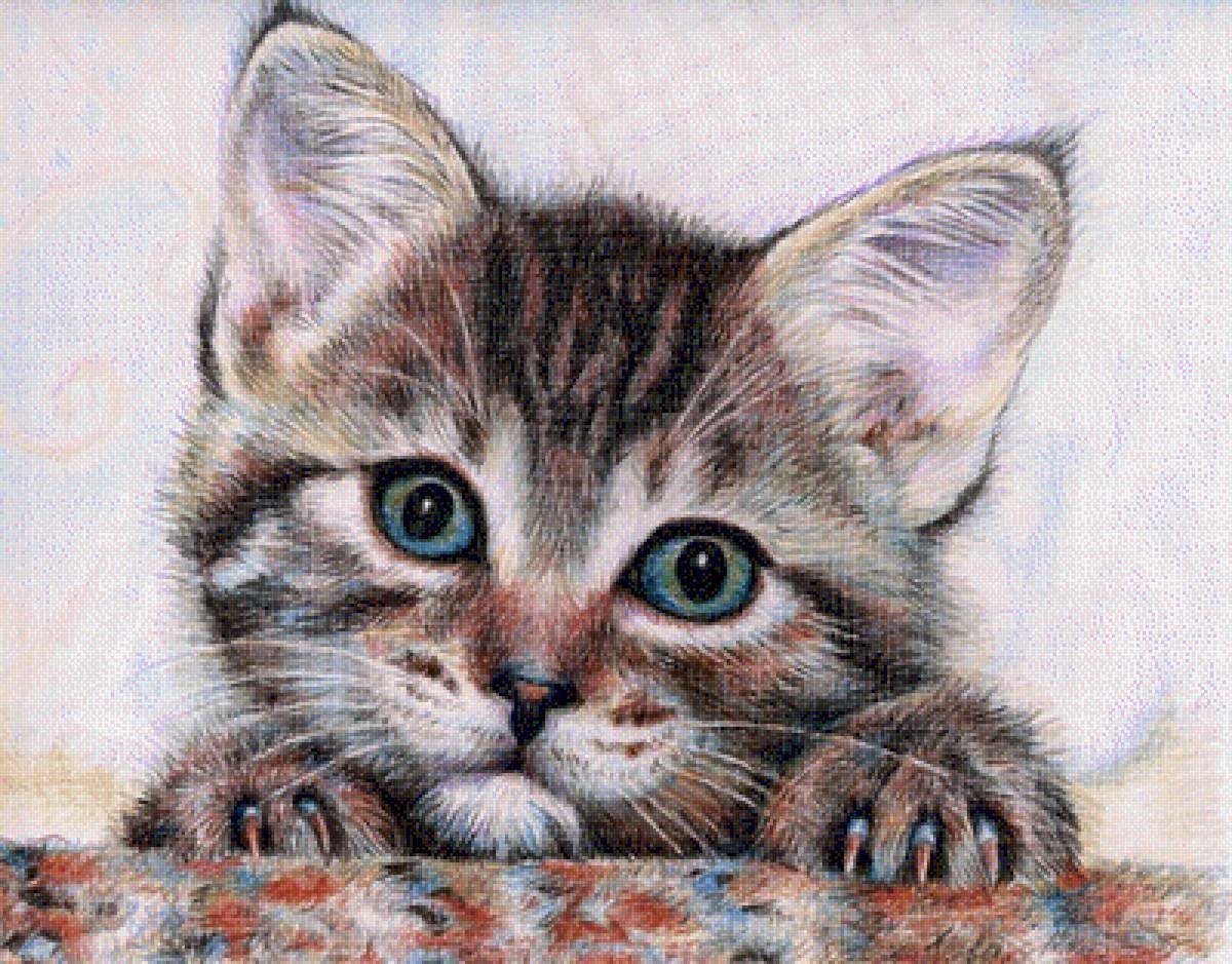 Цветные картинки кошек. Рисунки цветными карандашами. Кошка цветными карандашами. Котенок рисунок. Рисунки котиков.