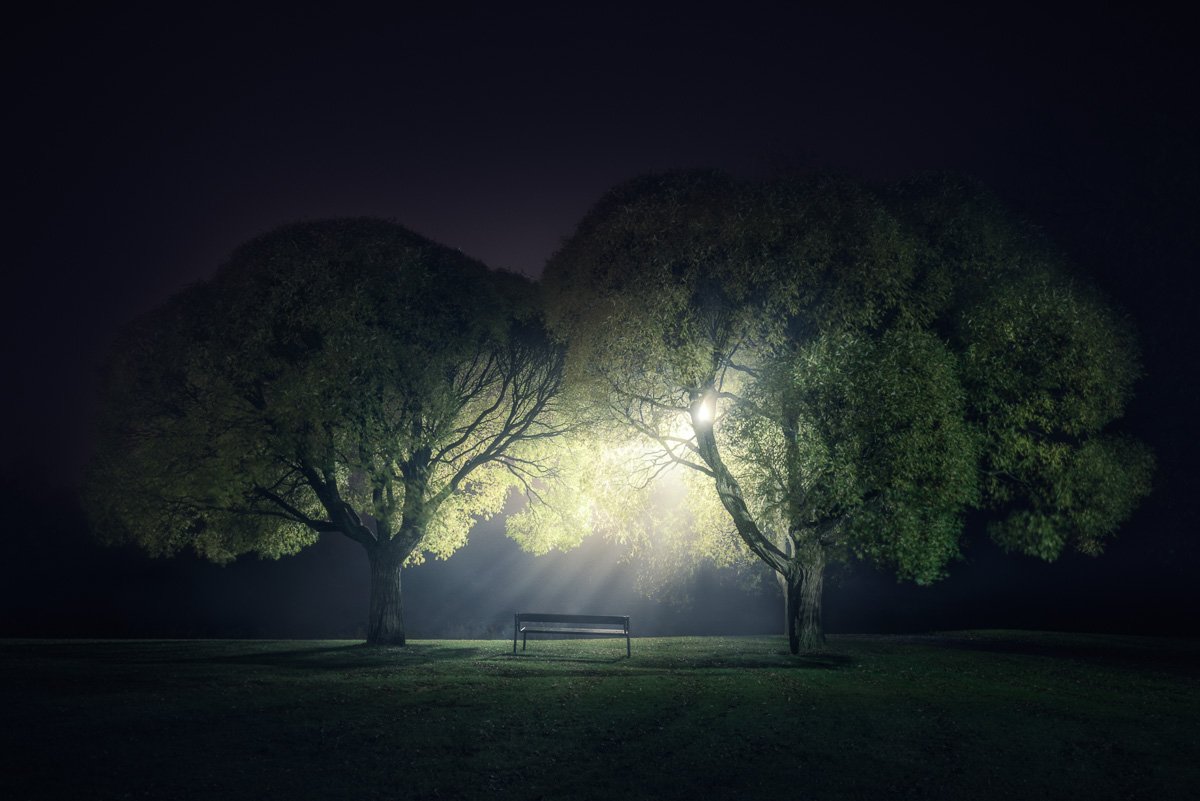 Ночью деревья спят. Фотограф Микко Лагерстедт. Финский фотограф Микко Лагерстедт. Микко Лагерстедт пейзажи. Дерево ночью.