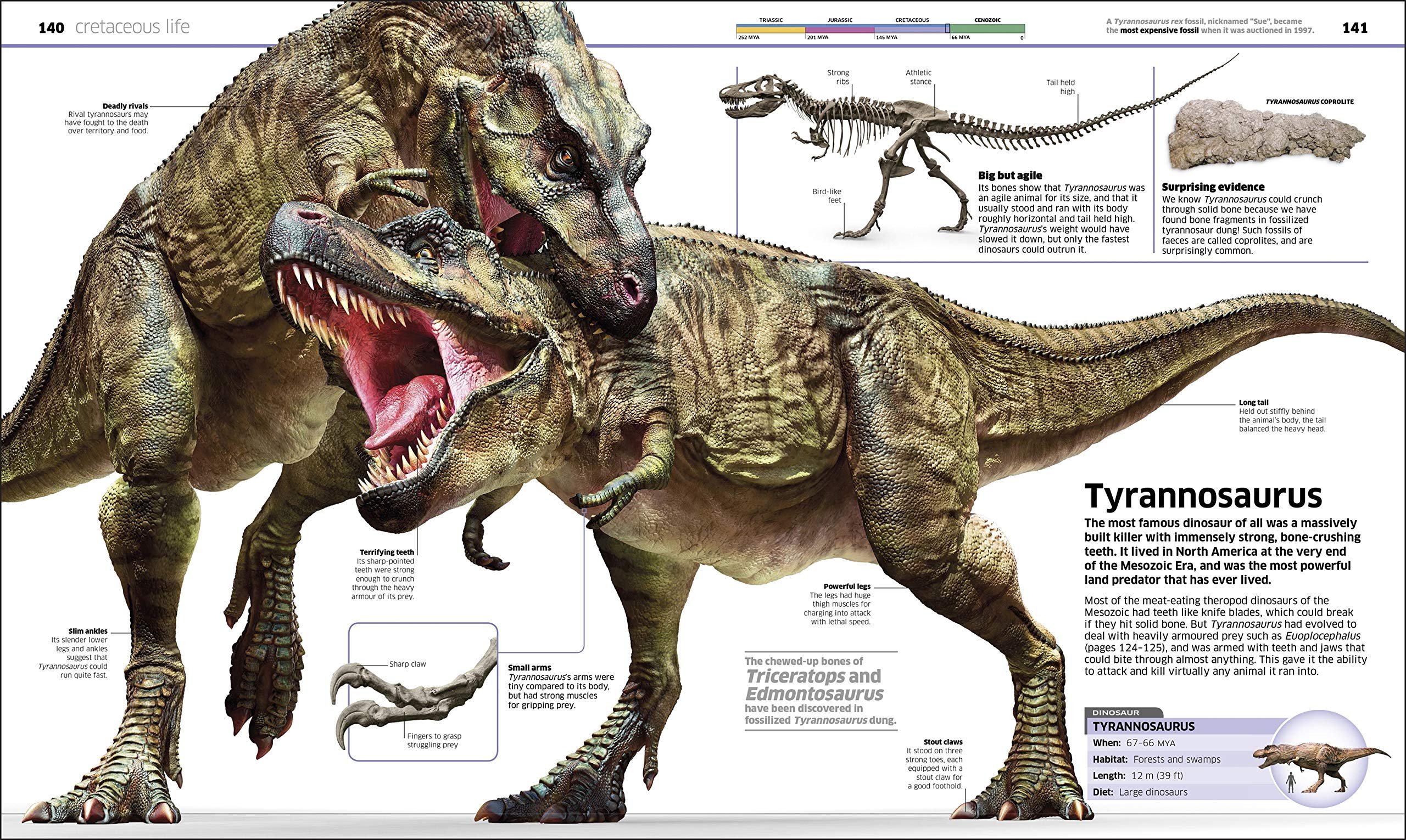 Сравнение динозавров. Тираннозавр рекс энциклопедия. Тиранозавр рекс Тиранозавр рекс. Тираннозавр рост и вес. Tyrannosaurus Rex размер.