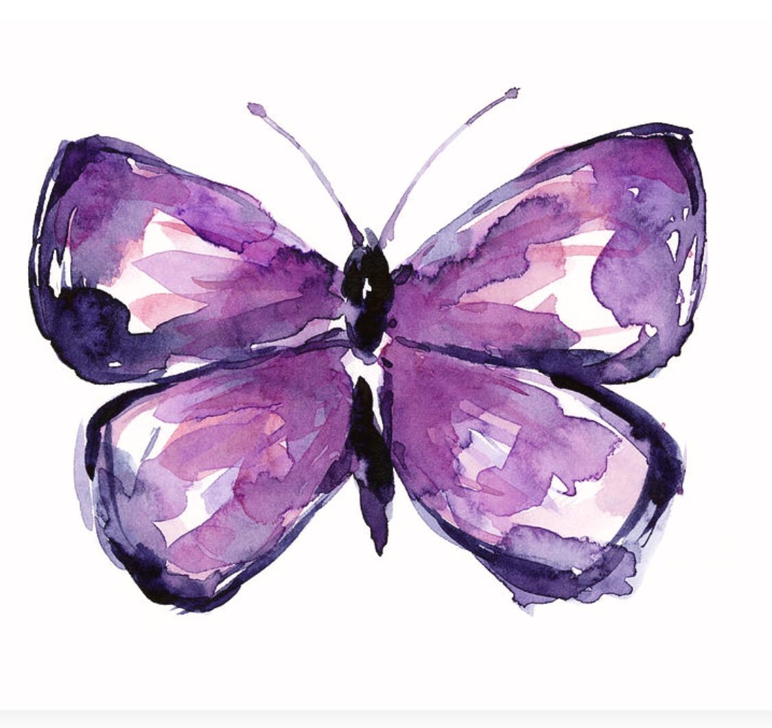 Бабочки фиолетового цвета. Бабочка фиолетовая. Сиреневые бабочки. Акварельные бабочки фиолетовые. Акварельные бабочки на прозрачном фоне.