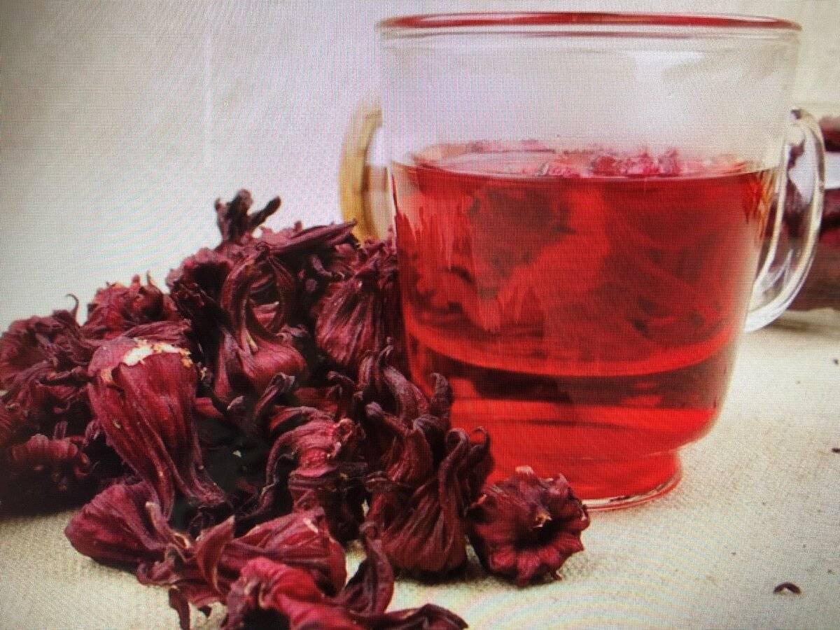 Каркаде кофеин. Чай каркаде лепестки суданской розы. Красный чай каркаде. Египетский каркаде.