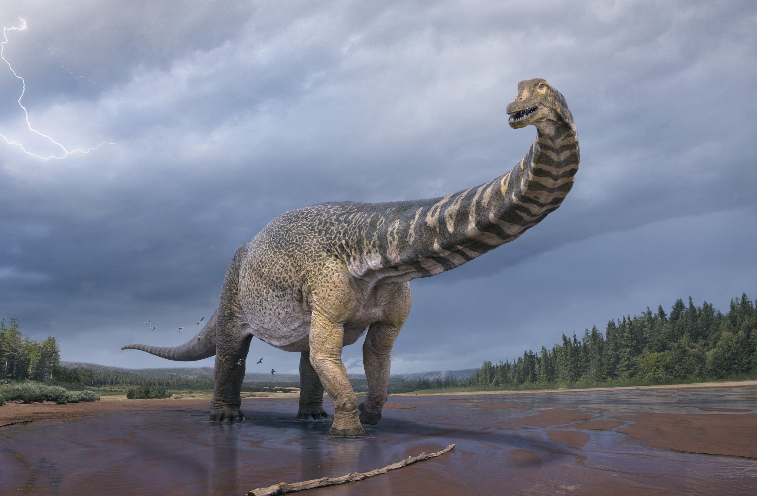 Cuál es el dinosaurio más pequeño del mundo