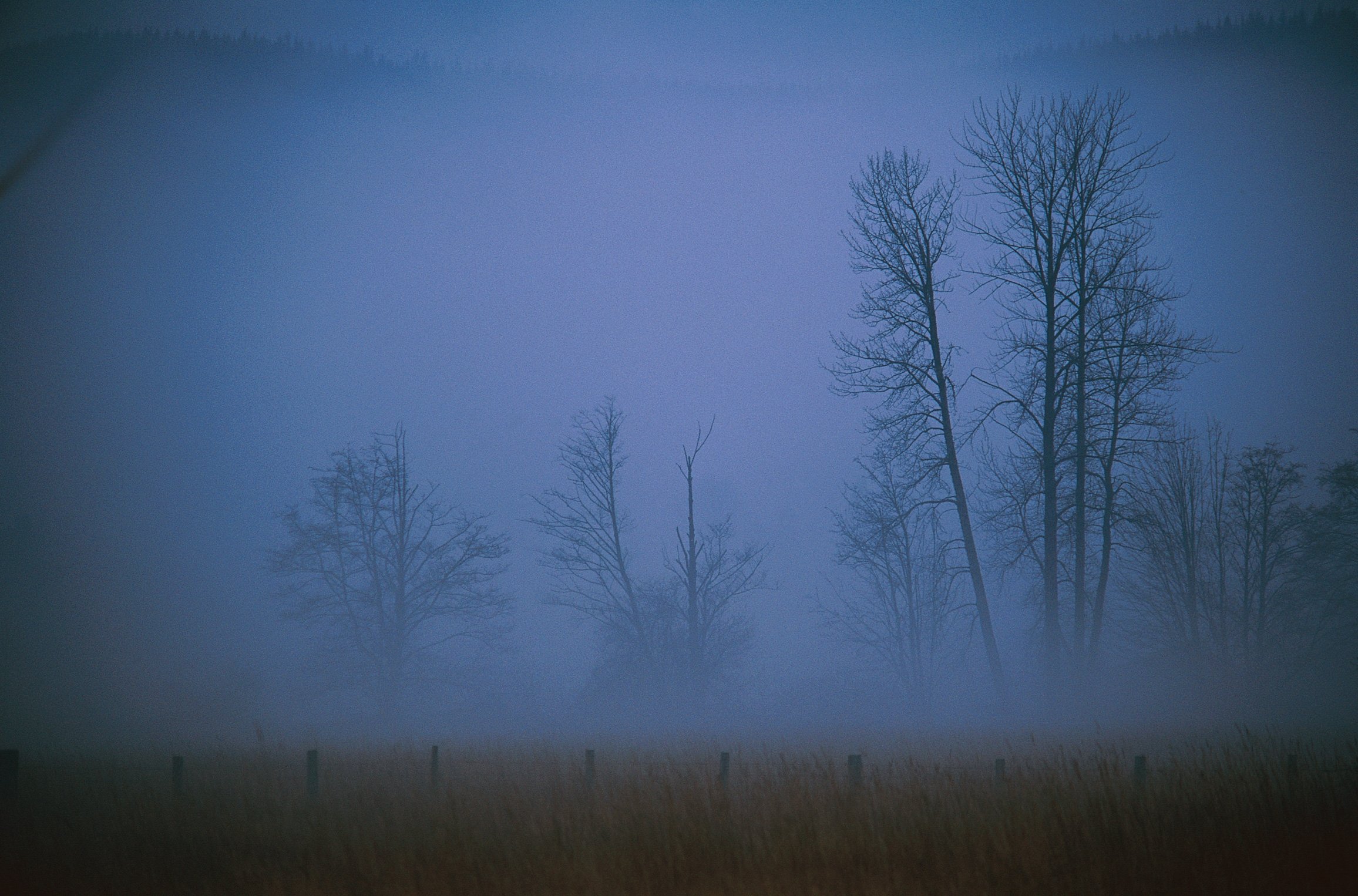 Темная пелена. Туман ночью. Сизая мгла. Осенняя мгла. Ночное поле в тумане.