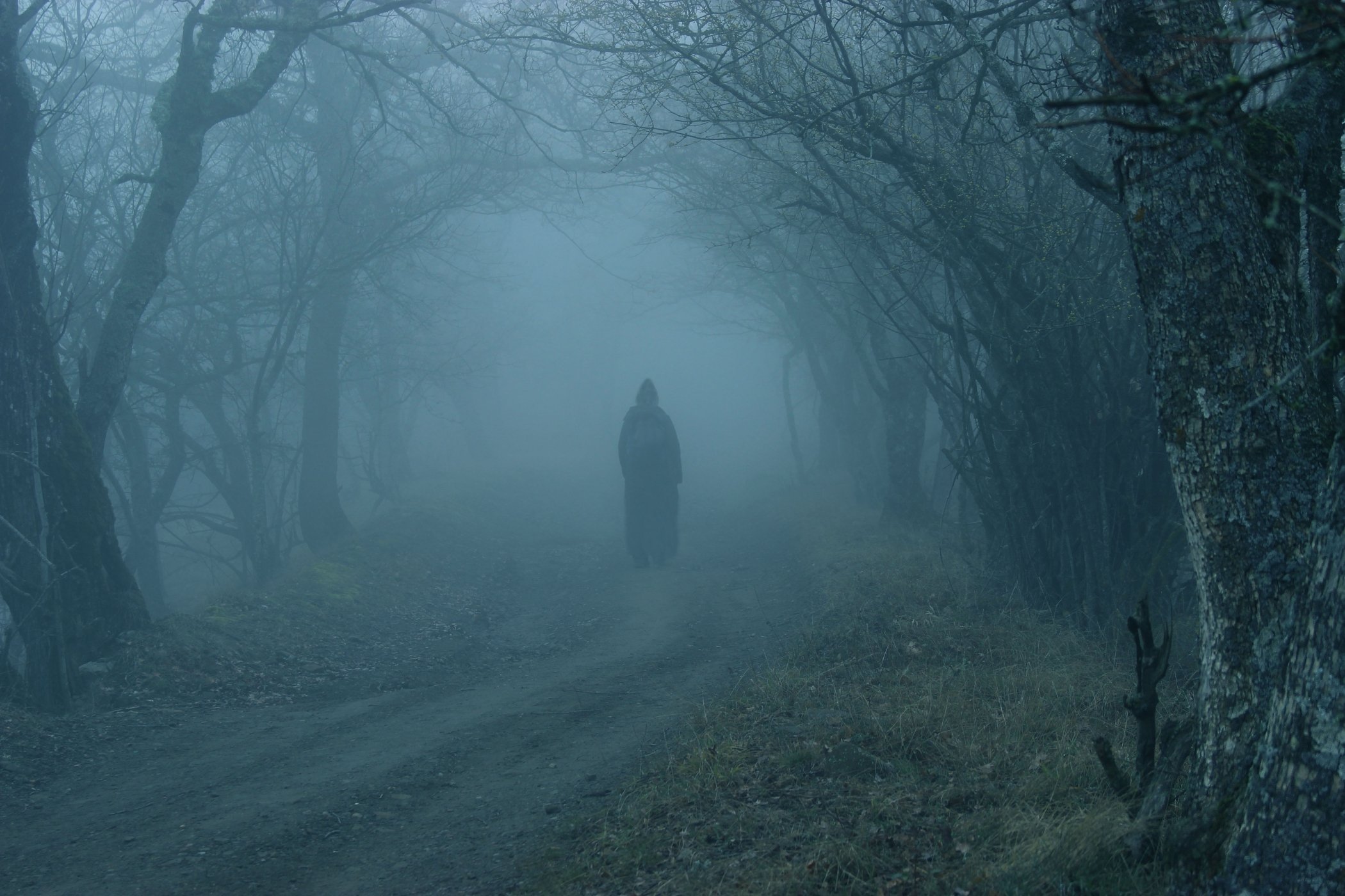 Мистические. Мрачный пейзаж. Страшный лес. Человек в темном лесу. Страшный туман.