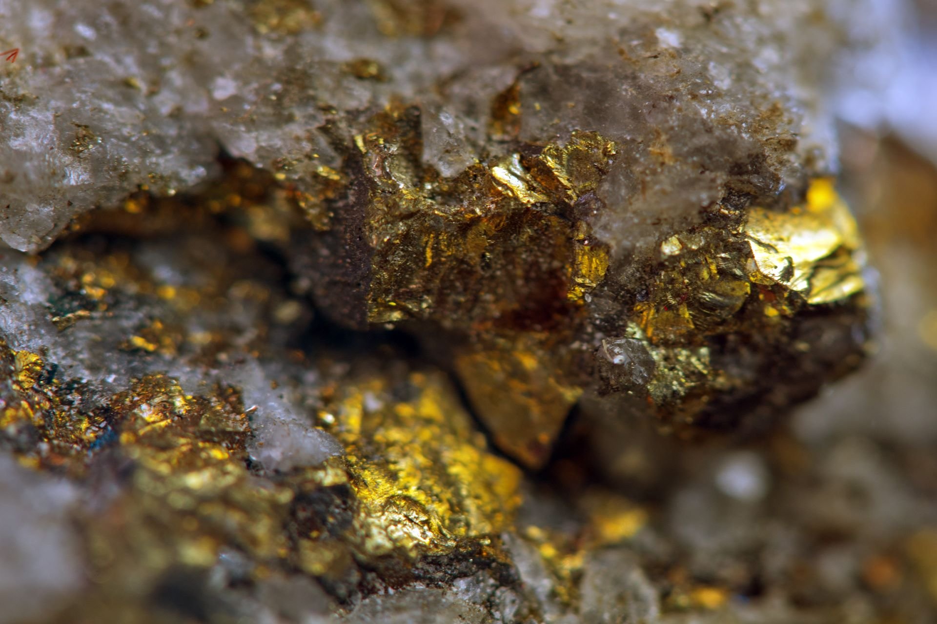 Золотая жила окна. Самородное золото минерал. Кючус золоторудное месторождение. Золото-ТЕЛЛУРИДНЫЕ руды. Золото кварц-сульфидные месторождения.