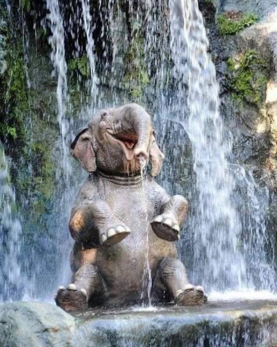 Слон купается. Слон под водопадом. Счастливый слон. Слоны на водопаде. Слоны купаются.