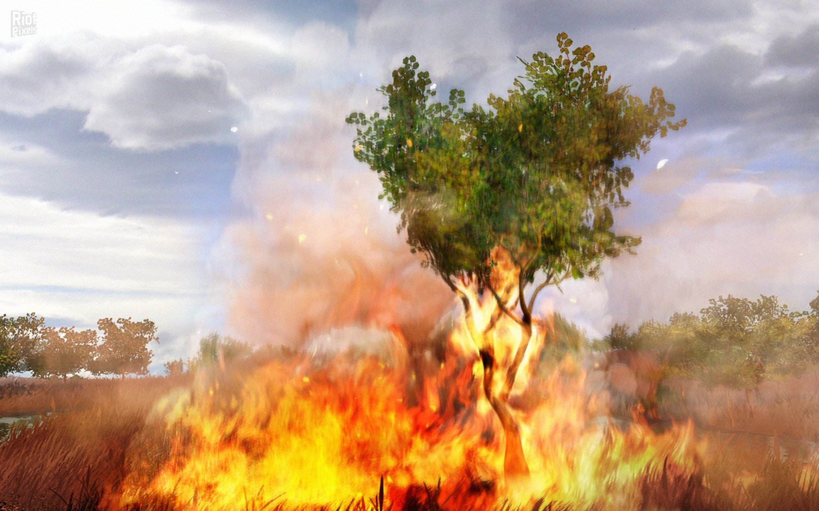 Сжигание дерева