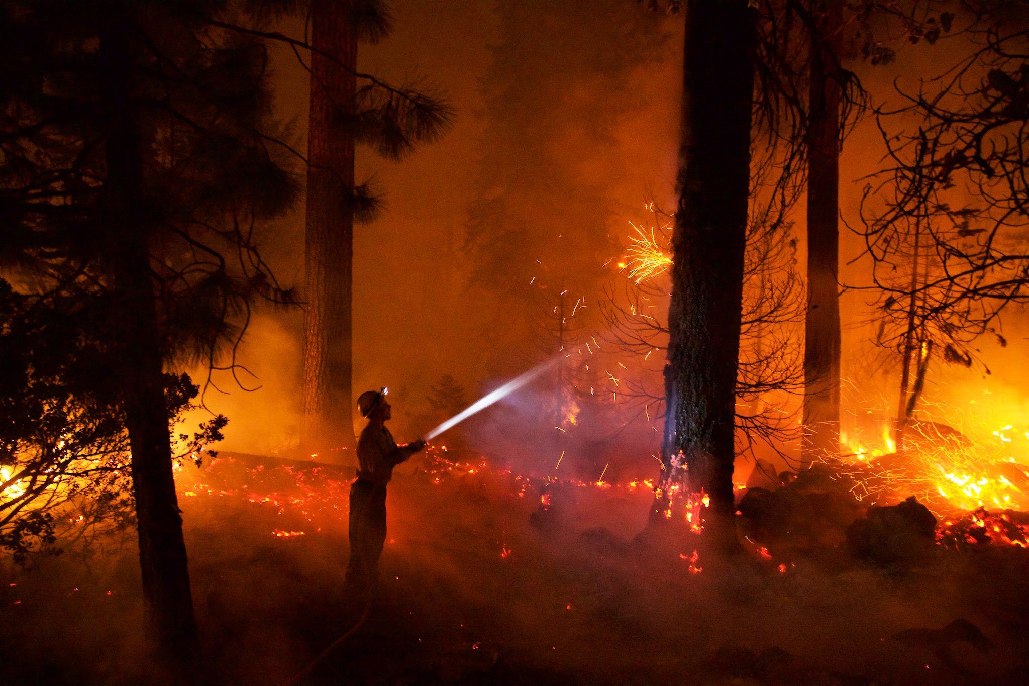 Хвойный пожар. Лес в огне. Экология пожары. Ночной пожар в лесу. Деревня в огне.