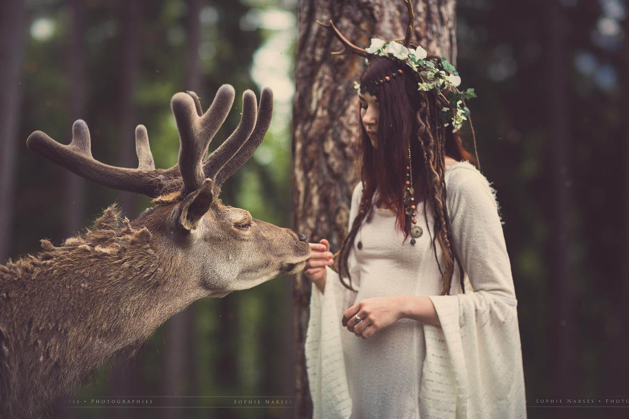 Сказка олень рога. Девушка с рогами оленя. Девушка олень. Девушка с оленьими рогами. Фотосессия с оленем.