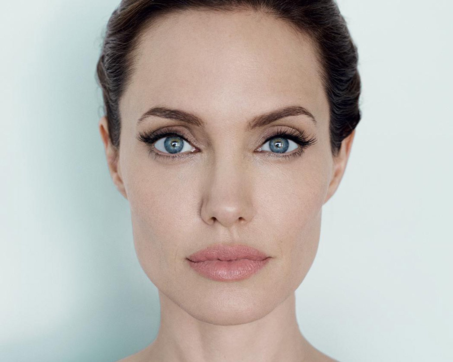 Породистое лицо. Анджелина Джоли анфас. Анджелина Джоли фото анфас. Анджелина Джоли анфас лица. Анджелина Джоли анфас и профиль.