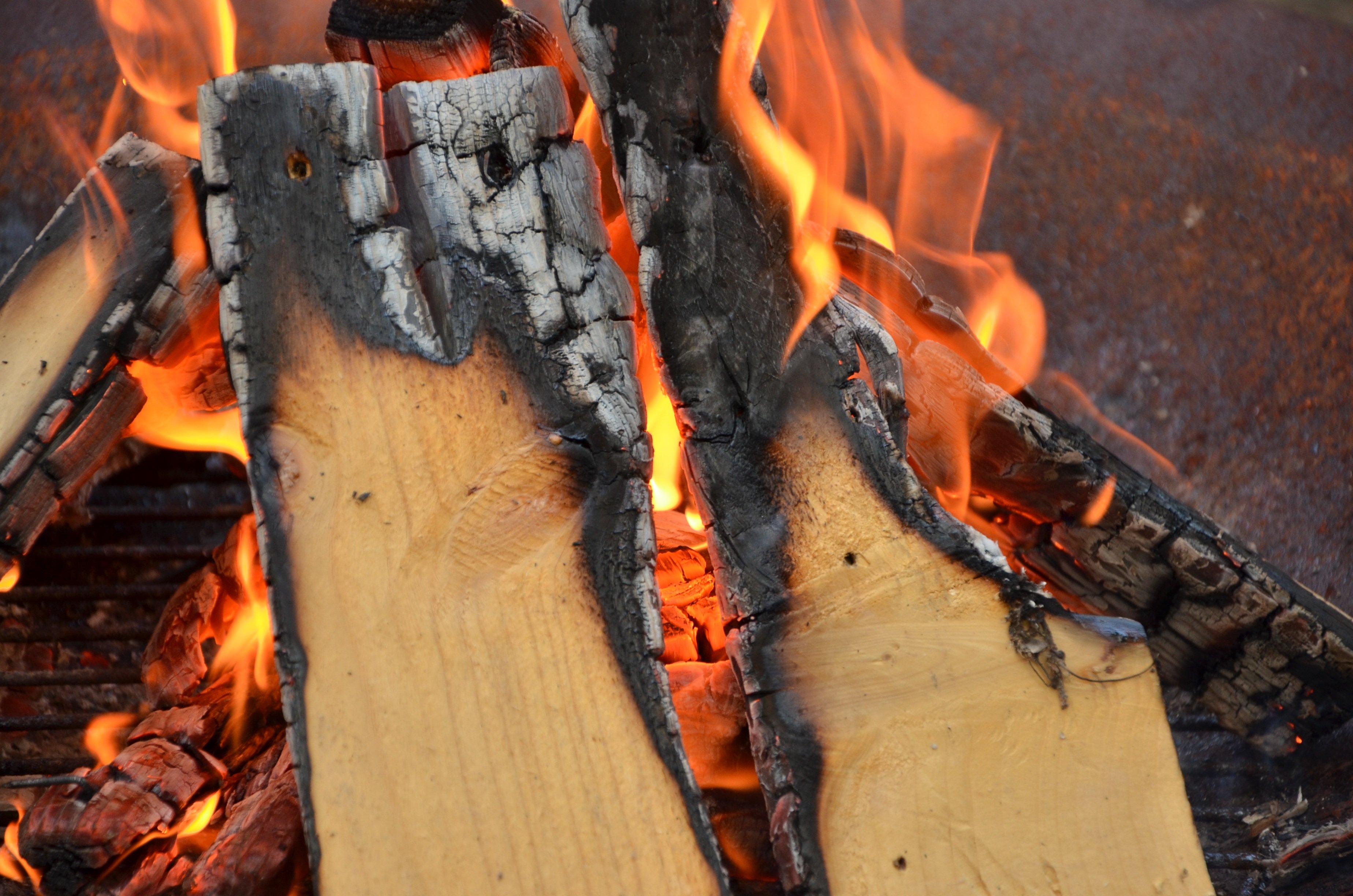 Сжигание дерева. Горение древесины. Сгоревшая древесина. Горящие поленья. Горение древесины в костре.