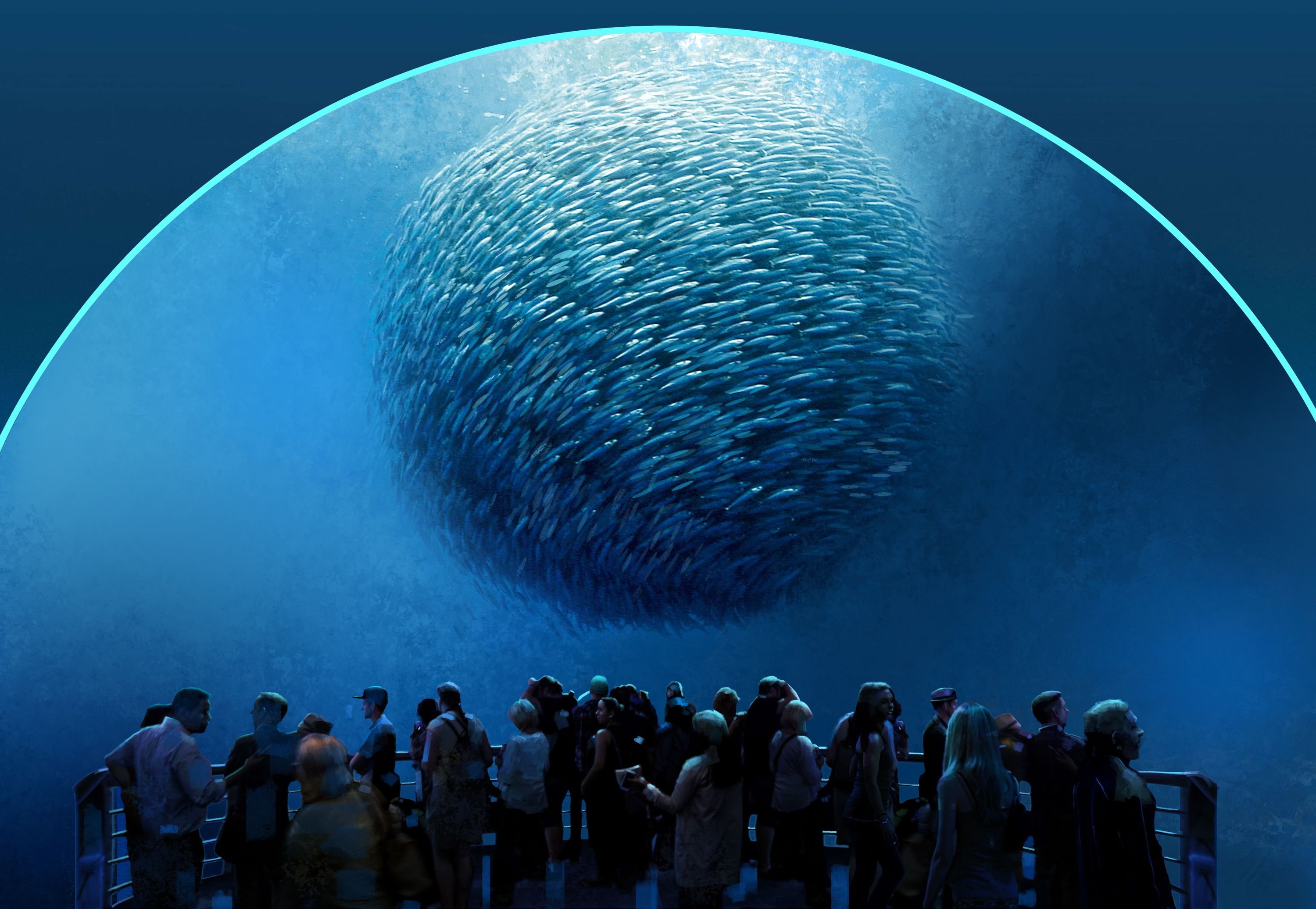 17 невероятных. Океан внутри. Инсталляция океан. Океанские глубины. Планета океан.