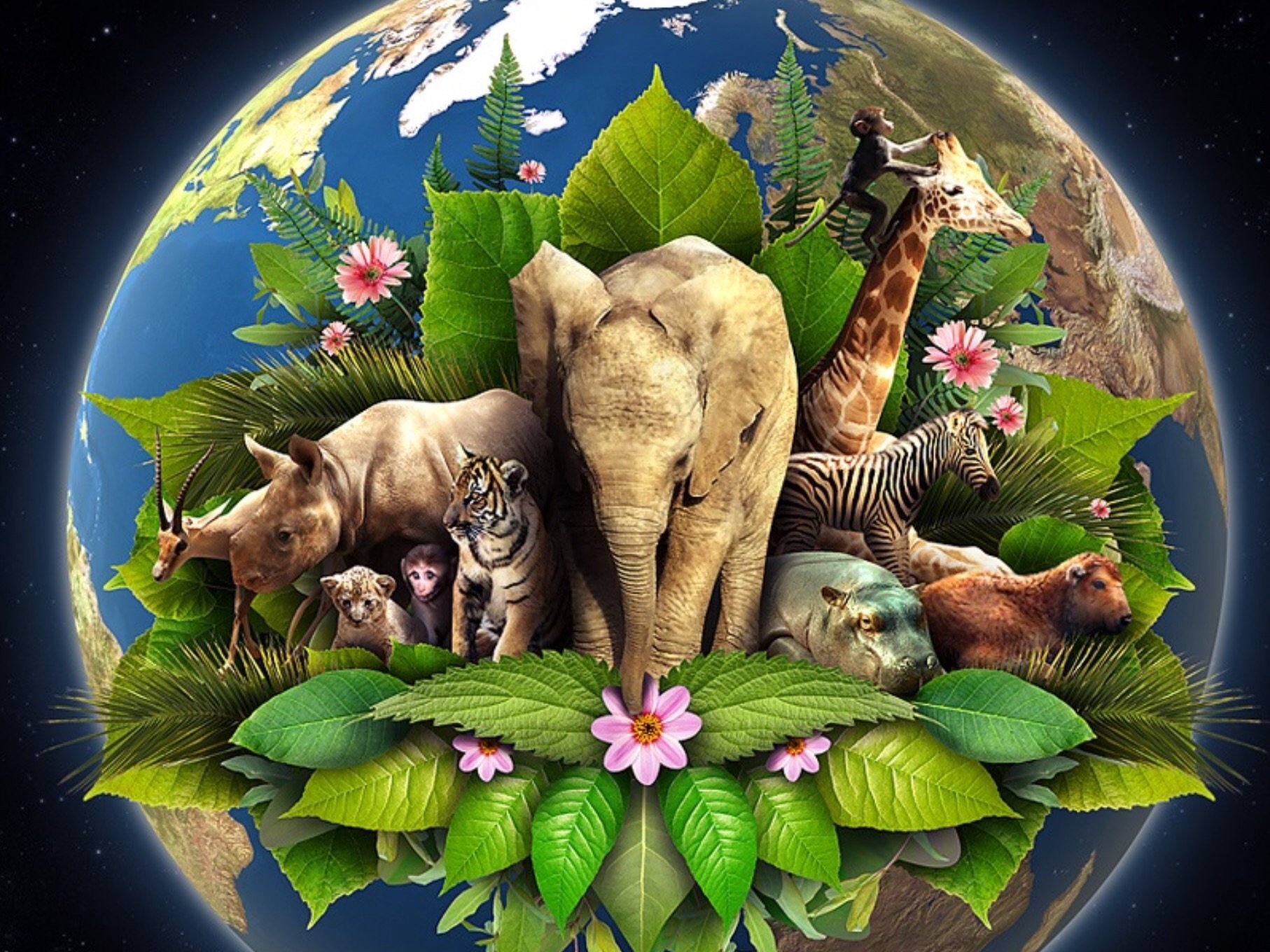 Все что окружает живое существо. Животные планеты земля. Планета животных. Планета земля живые организмы. Экология животные.